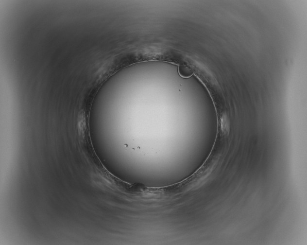 X0000111161299200907141353