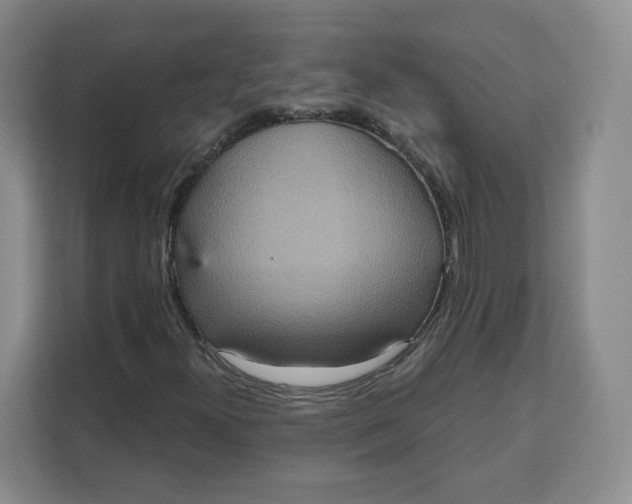 X0000111161300200907141353