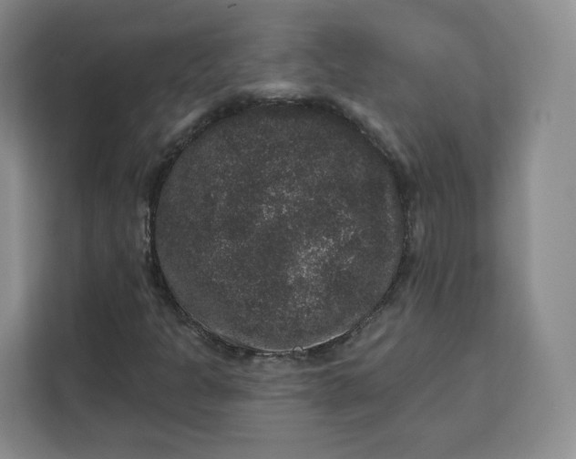 X0000111161301200907141353