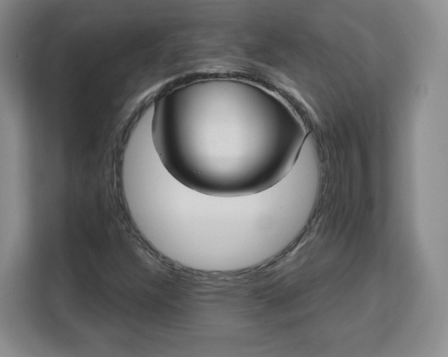 X0000111161304200907141353