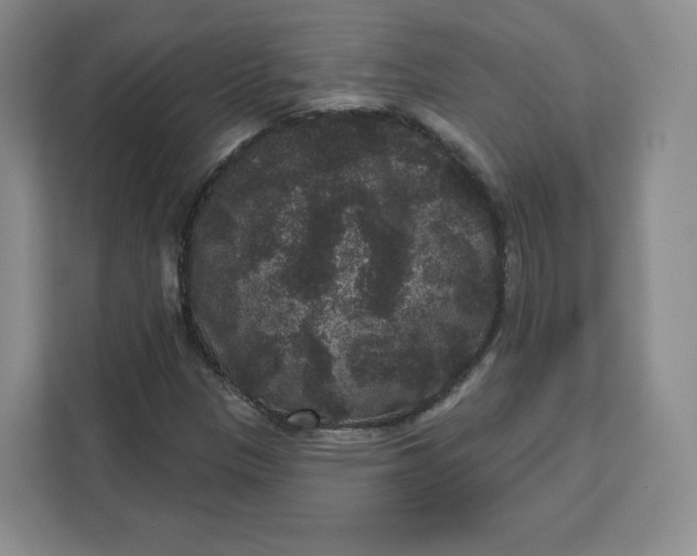 X0000111161305200907141353