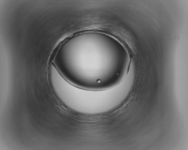 X0000111161308200907141353