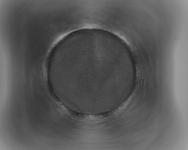 X0000111161311200907141353