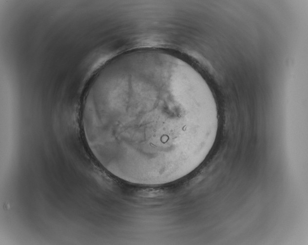 X0000111161314200907141353