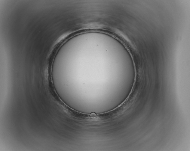 X0000111161315200907141353