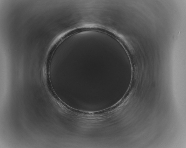 X0000111161319200907141353