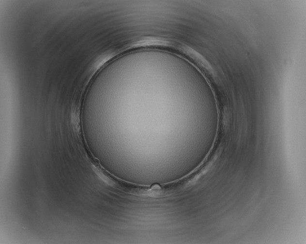 X0000111161321200907141353