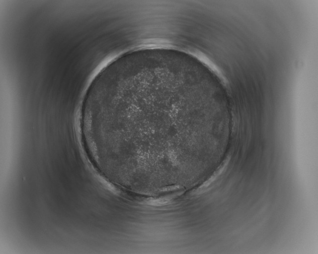 X0000111161325200907141353