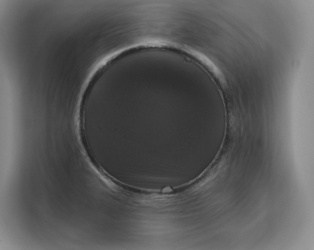 X0000111161327200907141353