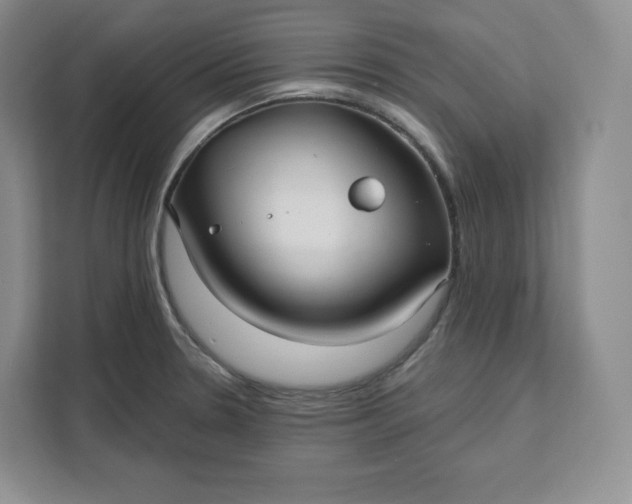 X0000111161330200907141353
