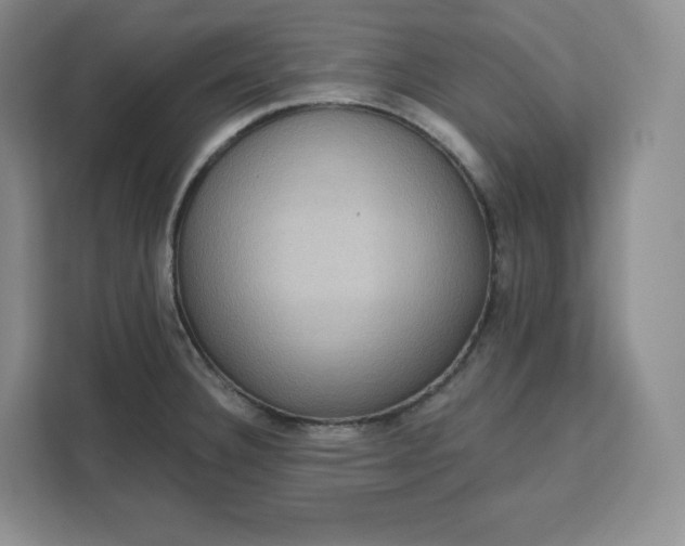 X0000111161332200907141354