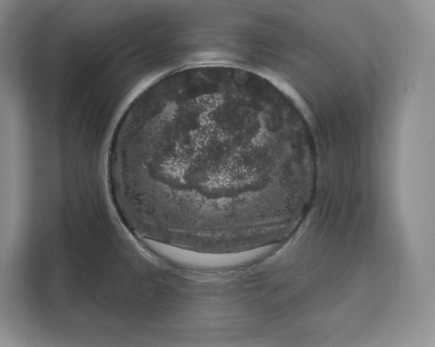 X0000111161333200907141354