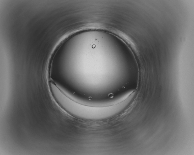 X0000111161334200907141354