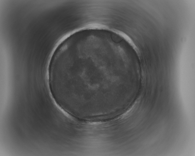 X0000111161335200907141354