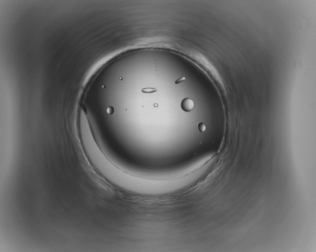 X0000111161336200907141354