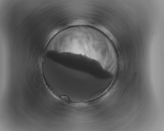 X0000111161337200907141354
