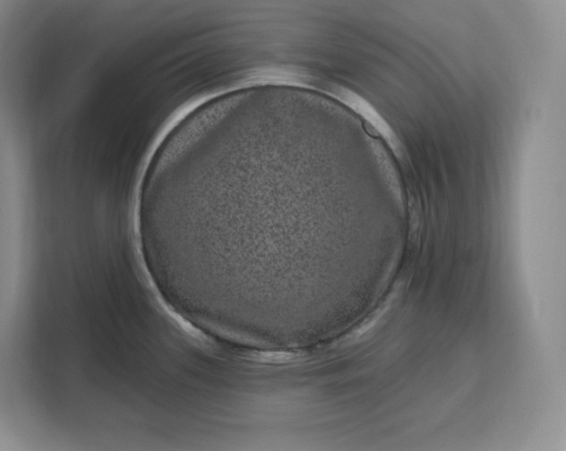 X0000111161339200907141354