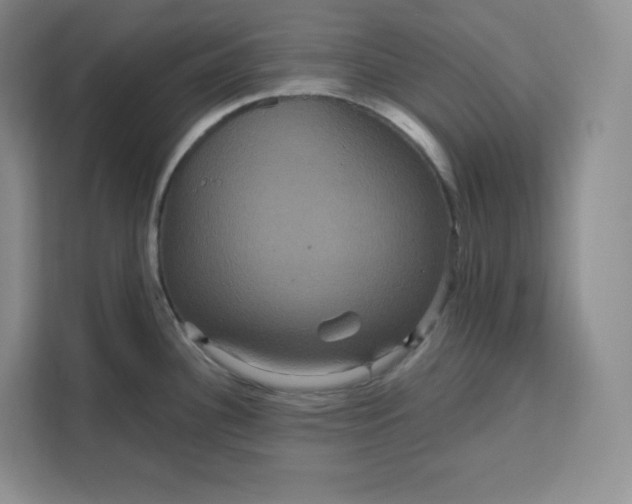X0000111161340200907141354