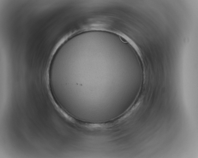 X0000111161341200907141354
