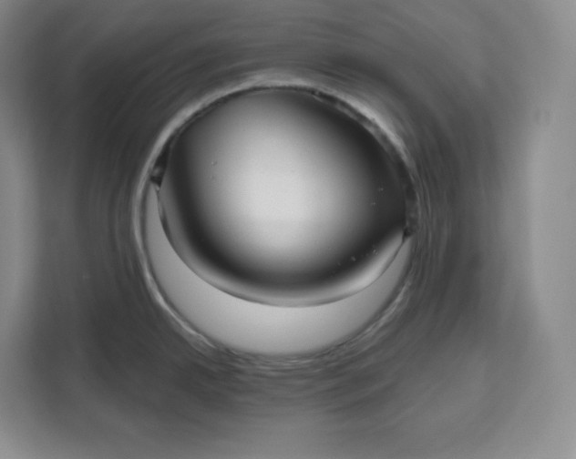X0000111161342200907141354