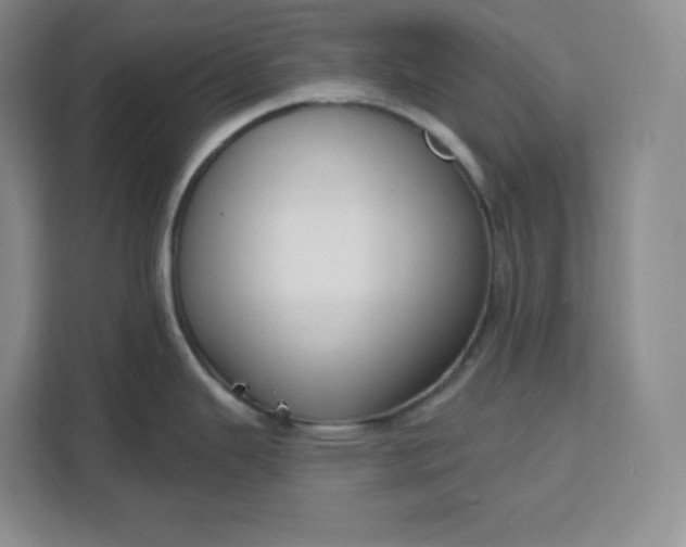 X0000111161343200907141354