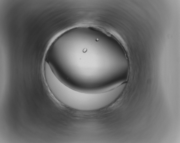 X0000111161344200907141354