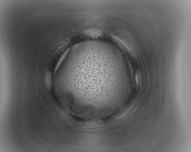 X0000111161347200907141353