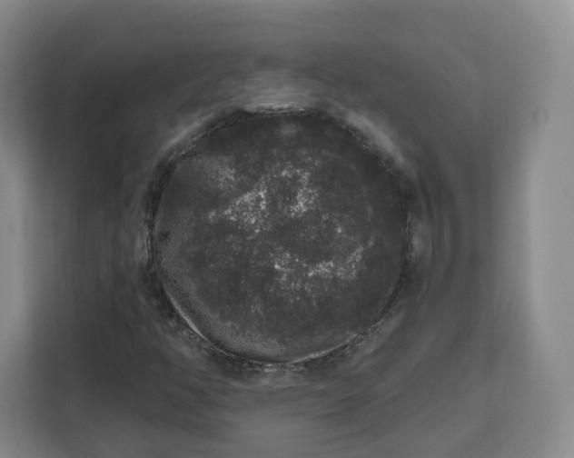 X0000111161350200907141353