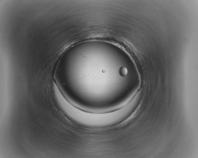 X0000111161353200907141353