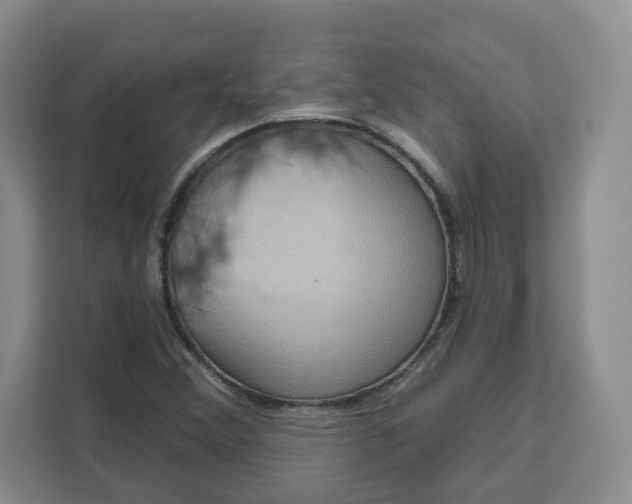X0000111161356200907141353