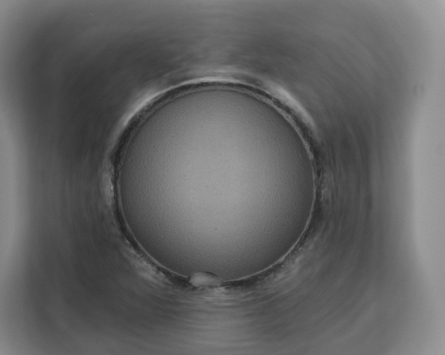 X0000111161360200907141353