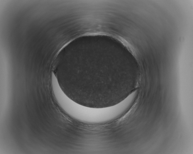 X0000111161361200907141353