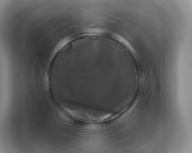 X0000111161362200907141353