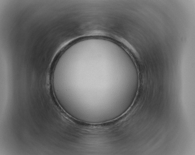 X0000111161364200907141353