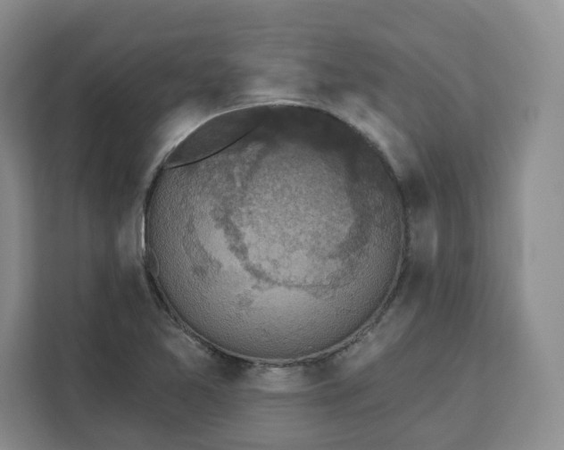 X0000111161365200907141353
