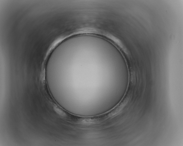 X0000111161366200907141353