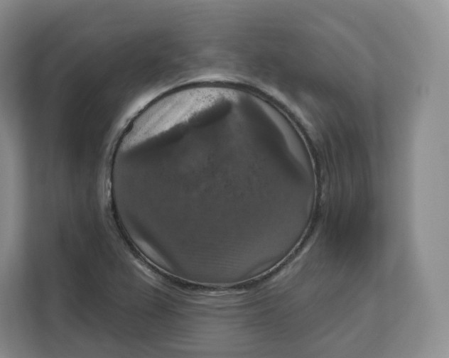 X0000111161367200907141353