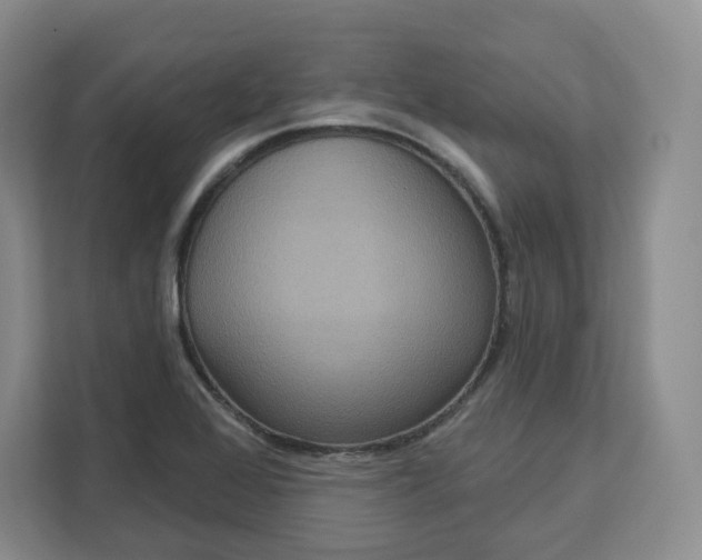 X0000111161368200907141353