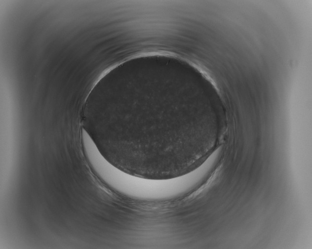 X0000111161369200907141353