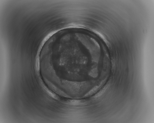 X0000111161371200907141353