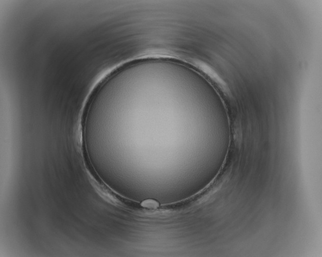 X0000111161372200907141353