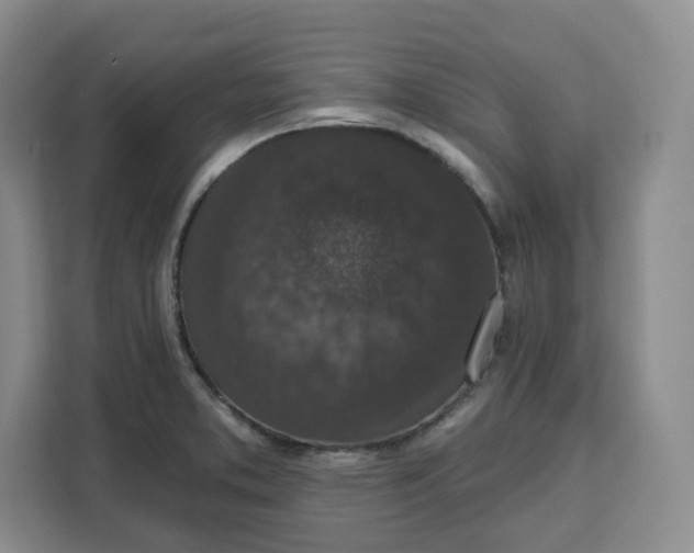 X0000111161373200907141353