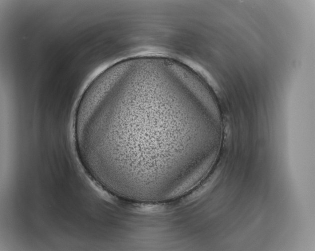 X0000111161375200907141353