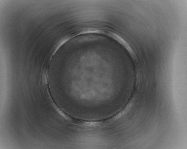 X0000111161377200907141353