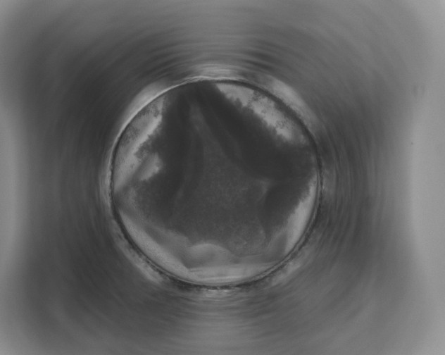 X0000111161378200907141353