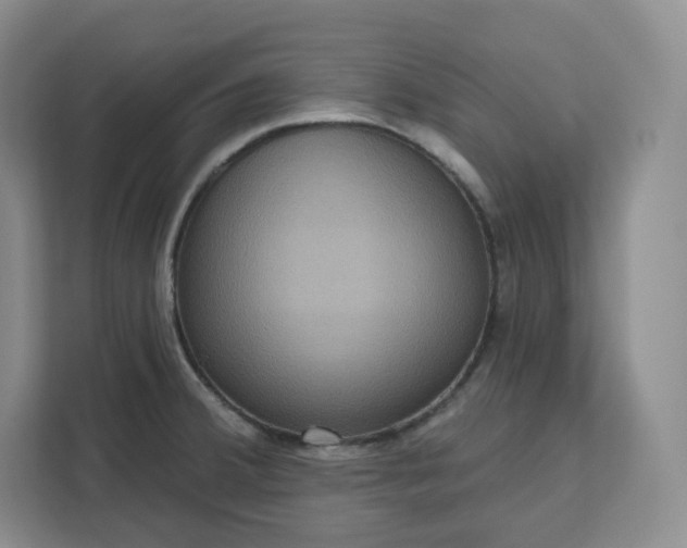 X0000111161380200907141353