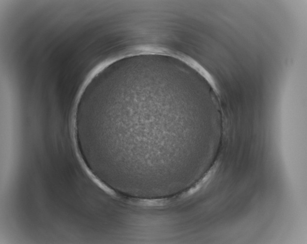 X0000111161381200907141353