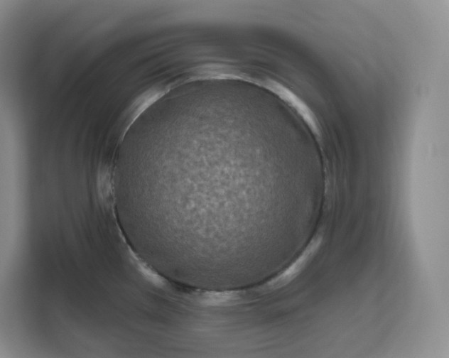 X0000111161385200907141353