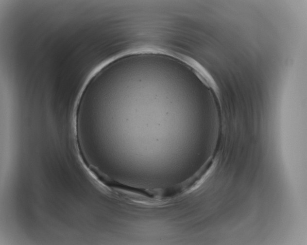 X0000111161388200907141352