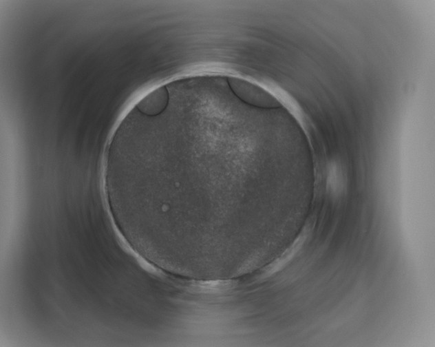 X0000111161390200907141352